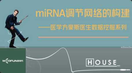 数据挖掘—miRNA调节网络的构建